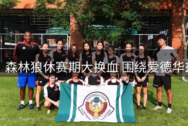 森林狼休赛期大换血 围绕爱德华兹组建全新战队