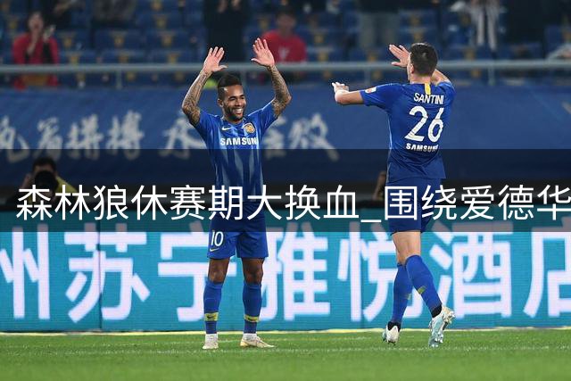 森林狼休赛期大换血 围绕爱德华兹组建全新战队
